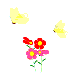 Annuals