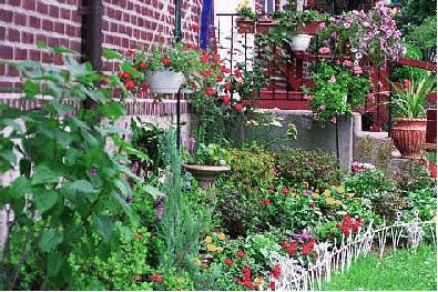 DonnaAnn and Robert's Garden